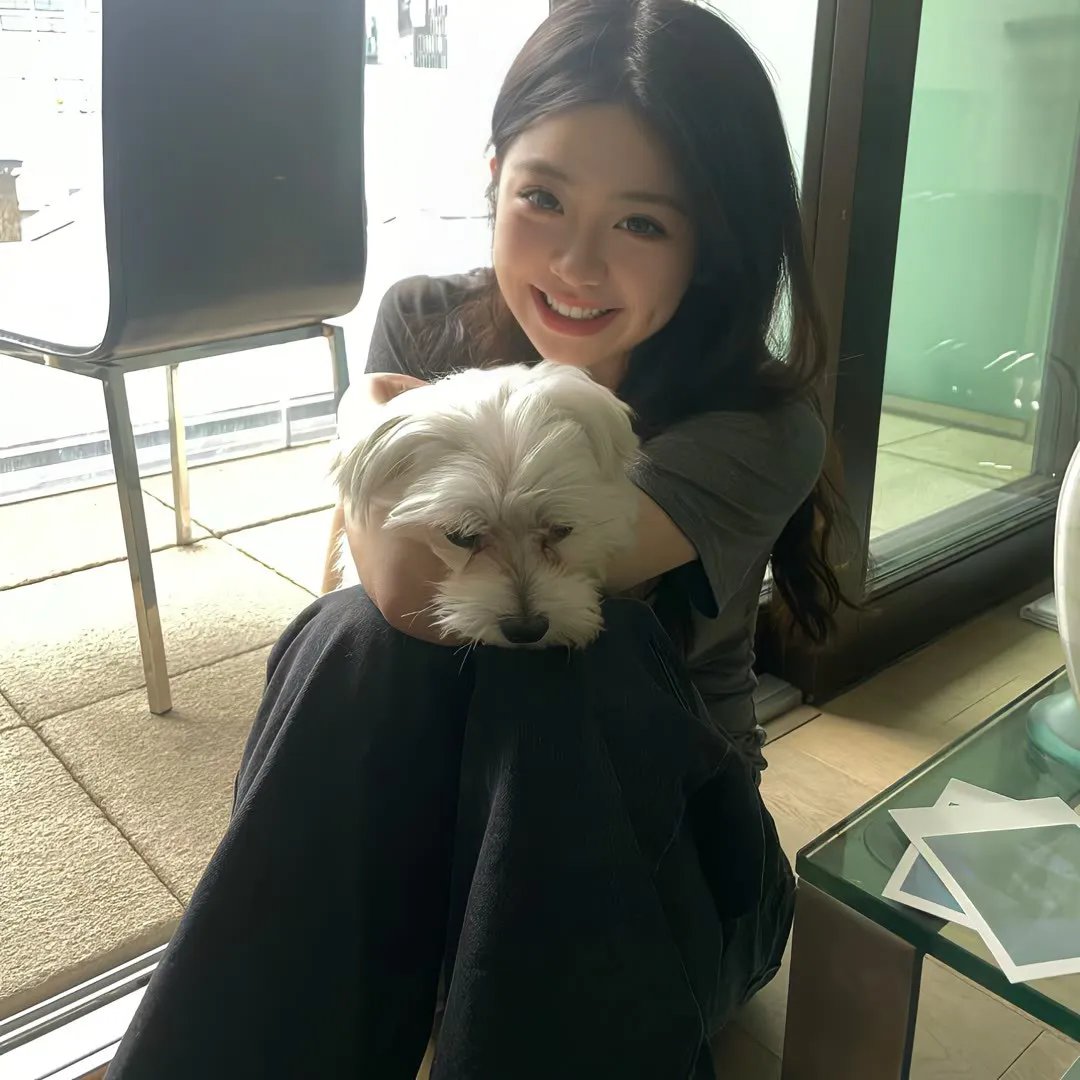 苏恩之争